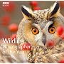 Wildlife Photographer of the Year: Portfolio 17 (Wildlife Photographer of the Year): 17 (Wildlife Photographer of the Year)