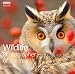 TOP WILDLIFE AND NATURE PHOTOGRAPHY BOOKS