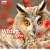 Wildlife Photographer of the Year: Portfolio 17 (Wildlife Photographer of the Year)