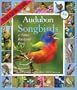 Audubon 365 Songbirds Calendar 2012