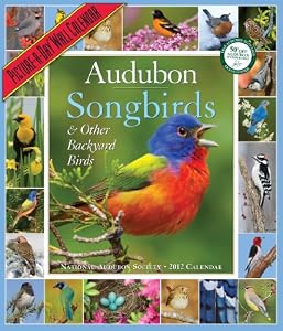 Audubon 365 Songbirds 2012 Wall Calendars