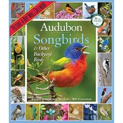 Audubon 365 Songbirds Calendar 2012