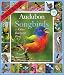 Audubon 365 Songbirds Calendar 2012 (Picture-A-Day Wall Calendars)