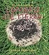 El Ciclo De Vida De La Lombriz De Tierra/ the Earthworm's Life Cycle (Ciclo De Vida / the Life Cycle)