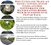 Search : The Ultimate Make An Extra Income, Inner Game and Biz Networking for Handcrafted Boxes Web Businesses 3 CD Power Pack