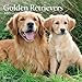 Golden Retrievers 2015 Square 12x12 Plato
