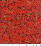 Packed Poinsettias