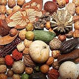 DEKO-MIX POTPOURRI NÜSSE ZIERGEMÜSE BEUTEL 400 GR