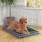 Standard Square Back Cage Giant, 37inch x 54inch x 45inch H Color: Clear Zinc