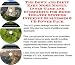 The Down and Dirty Earn More Money, Inner Game and eCommerce for Home Theater Systems Internet Businesses 3 CD Power Pack