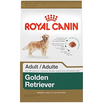 Best dry dog food for Golden Retriever