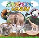 どうぶつだいすき!!~どうぶつえんにいこう!~(DVD付)