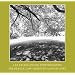 Lee Friedlander: Photographs Frederick Law Olmsted Landscapes