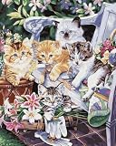 Bucilla 21688 Paint by Number, Springtime Kittens