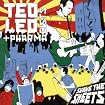 Shake the Sheets