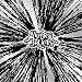 Furiosity [CD]