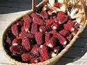 100 Strawberry Popcorn Seeds for Planting in the Small Garden