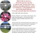 The Guerilla Marketing, Building Effective Lead Capture Web Pages, SIVA Marketing for Scrapbook Templates Businesses