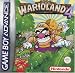 Wario Land 4