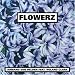 Flowerz [Single,Import]