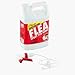 Flea Spray
