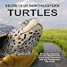 [Secrets of Northeastern Turtles photo]