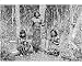 Photographic Print of Angaite Indians, North Chaco, Paraguay, 1895. from Heritage-Images