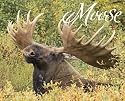 Moose 2010 Calendar