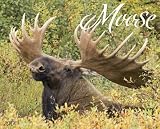 Moose 2010 Calendar