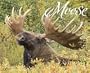 Moose