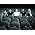 Thumbnail image of Snow Patrol