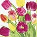 Caspari Tulips Paper Lunch Napkins, 20-Count