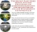 The Secret Earn More Money, Success Principles and Accounting & Finance for Solder/Braze On-line Businesses 3 CD Power Pack
