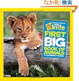 National Geographic Little Kids First Big Book of Animals (National Geographic Little Kids First Big Books)