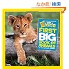 National Geographic Little Kids First Big Book of Animals