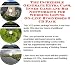 Book The Incredible Generate Extra Cash, Inner Game and Biz Networking for Wedding Gowns On-line Businesses 3 CD Pack