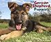 Just German Shepherd Puppies 2012 Calendar (Just (Willow Creek))