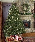 7.5' Full Pre-Lit Colorado Pine Tree, 800 Warm White LED Lights