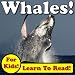 Whales! Learn About Whales While Learning To Read - Whale Photos And Facts Make It Easy! (Over 45+ Photos of Whales)