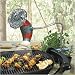 Barbecue Grill Fan and Light