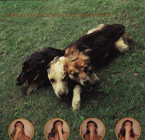 Cover Art