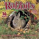 Rabbits 2007 Wall Calendar