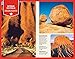 Lonely Planet Outback Australia Road Trips 1 (Travel Guide)