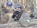 Jigsaw of FA Cup Preview - Chelsea vs. Southend - SUFC Team Paintball from Southend United