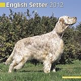 Kalender 2012 English Setter