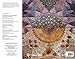 The Majesty of Mughal Decoration: The Art and Architecture of Islamic India
