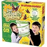 Outdoor Toys