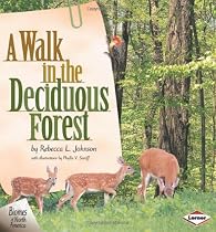 Walk In The Deciduous Forest, A
