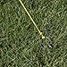 Park & Sun Sports Portable Outdoor Volleyball Net System: Tournament 179, Orange