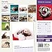 Ferrets 18 Month 2016 Wall Calendar